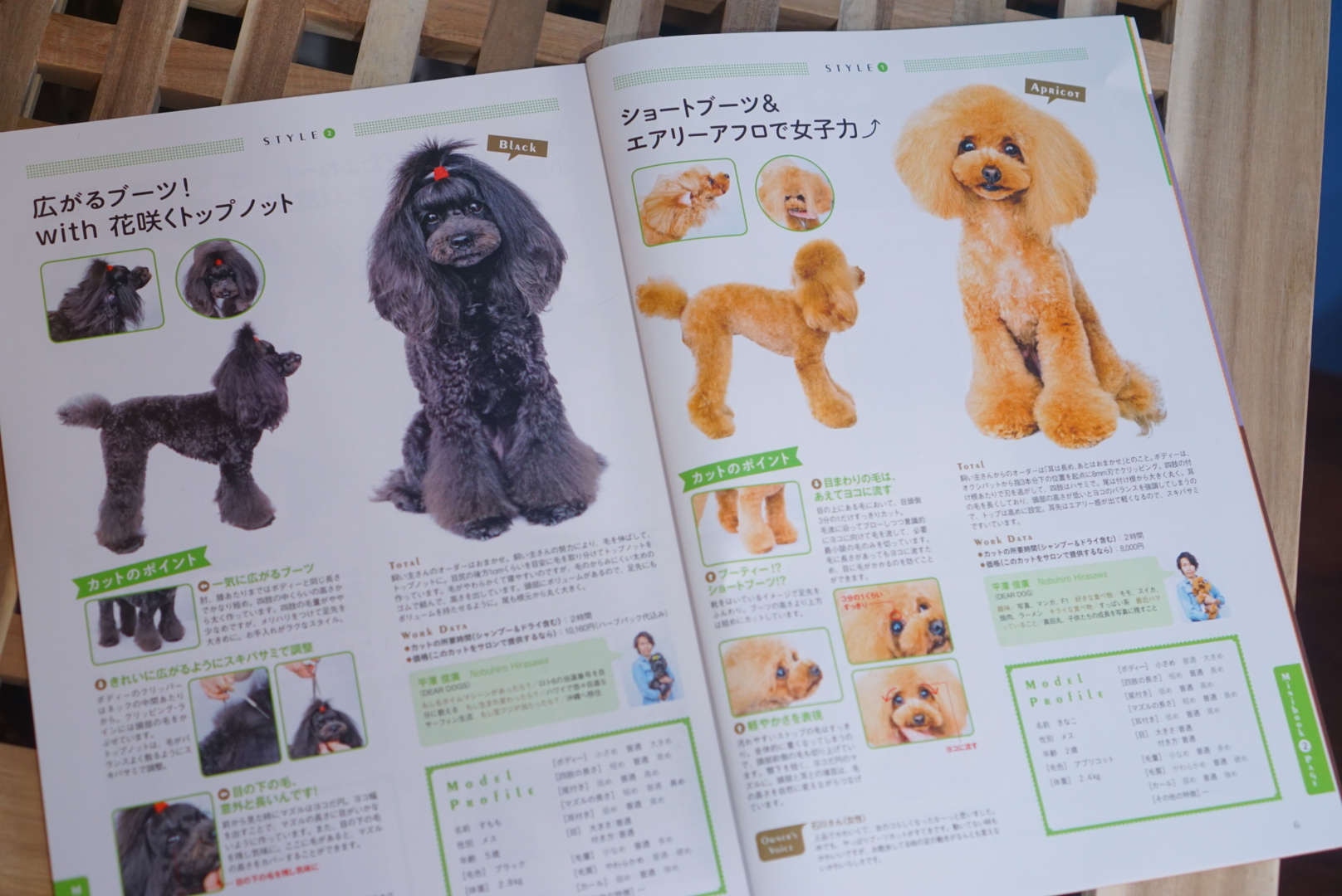 メディア掲載情✂大田区洗足池のペットトリミングサロンDEAR DOGS